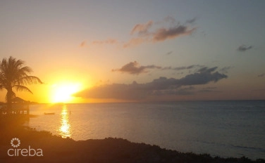 Vida Vistas