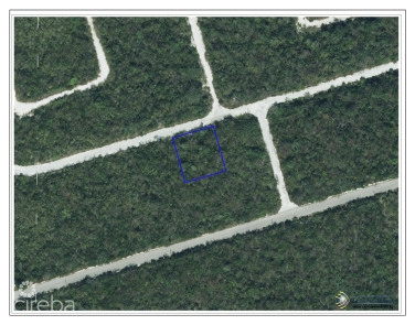 Cayman Brac Lot On Bluff At Selworthy Groves