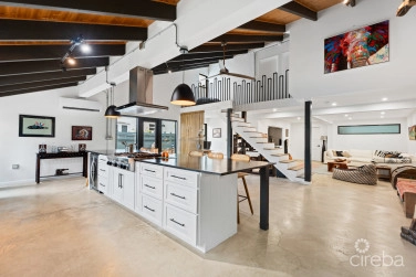 Pura Vida, South Sound Home