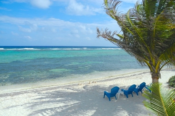 Turtle Nest Condos Beachfront