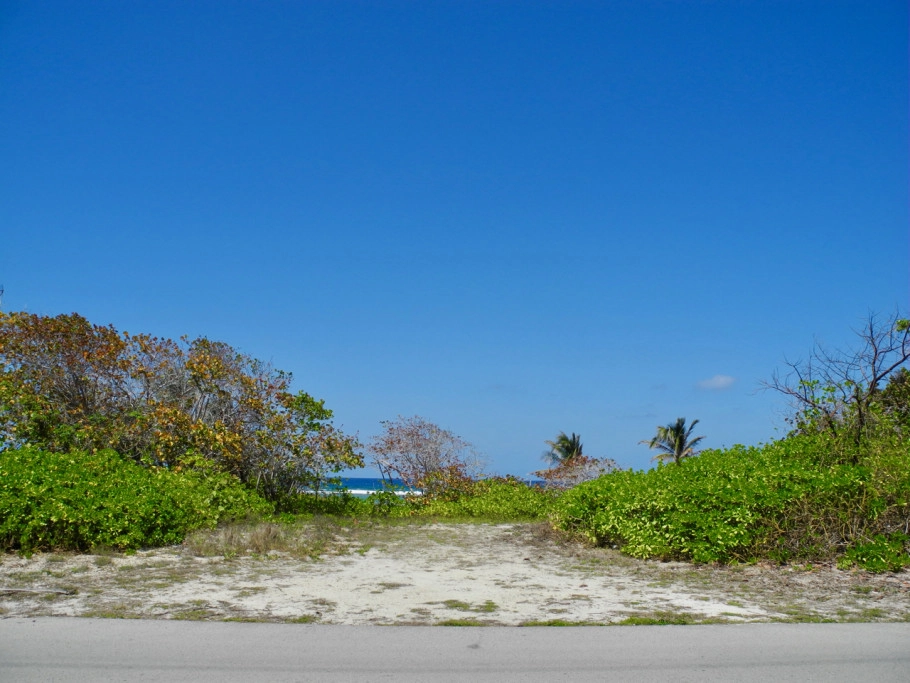 Rum Point Beach Front Land