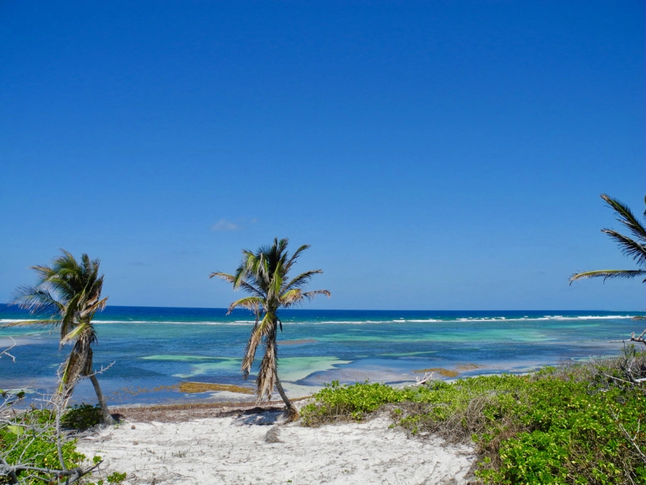 Rum Point Beach Front Land