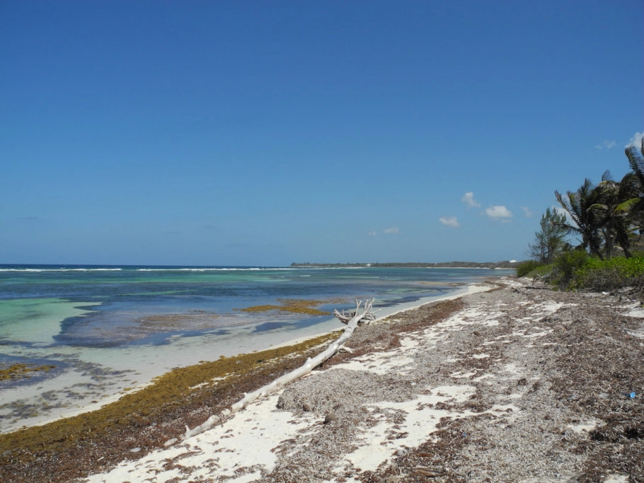 Rum Point Beach Front Land