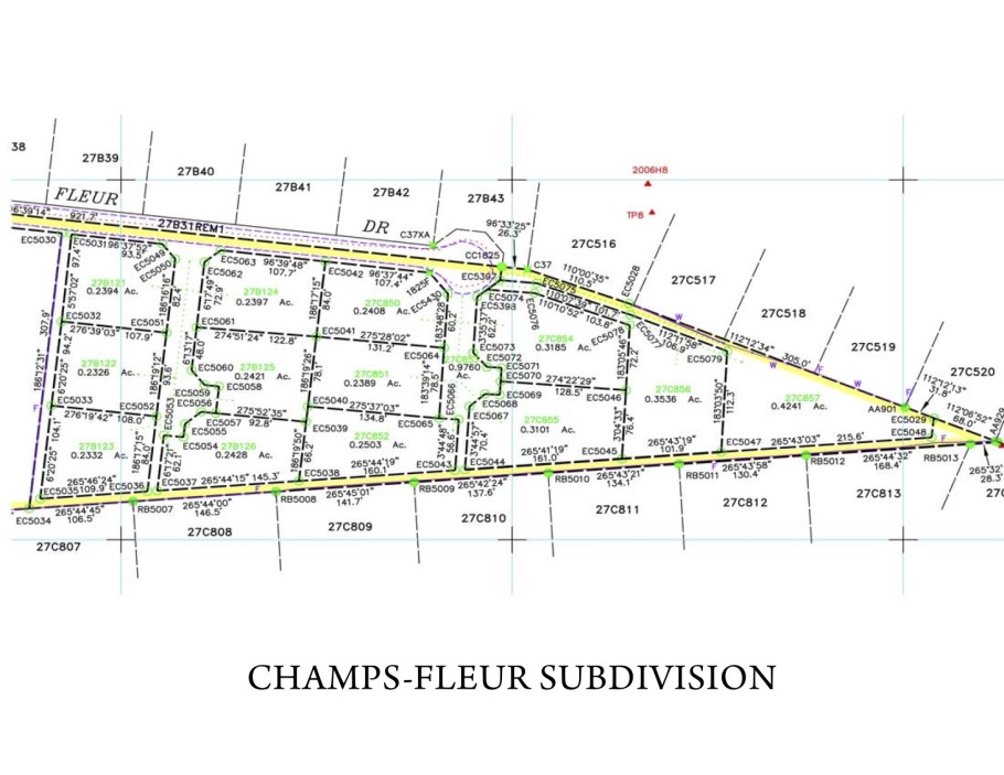 Champs Fleur Subdivision