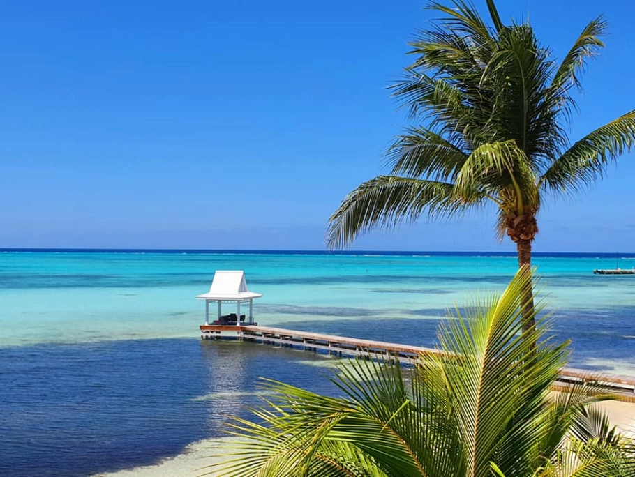Sun Serenity Rum Point