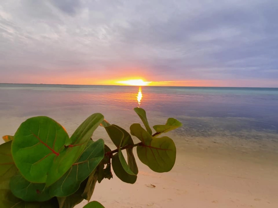 Sun Serenity Rum Point