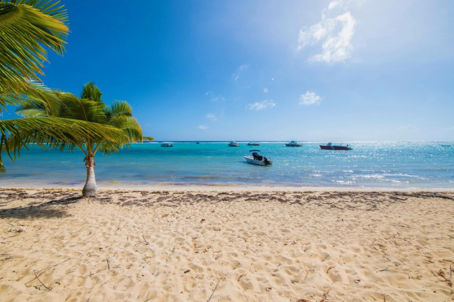Caribbean Paradise #16