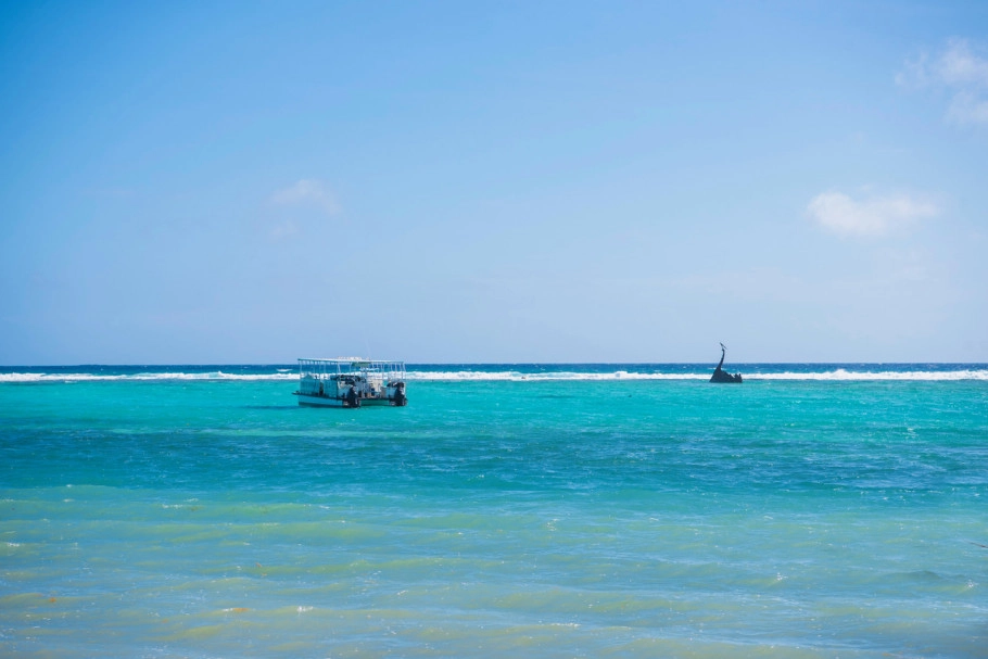 Caribbean Paradise #16