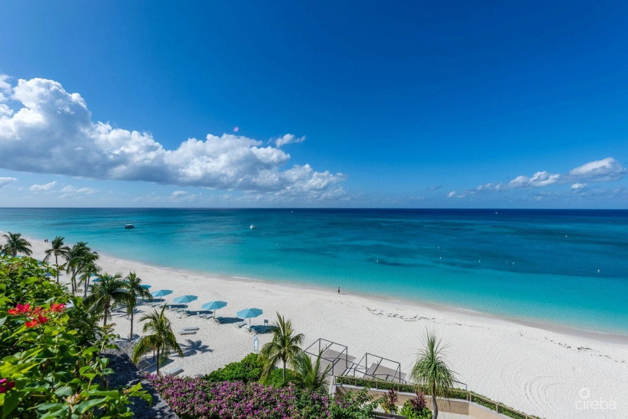 The Ritz Carlton Residence #605