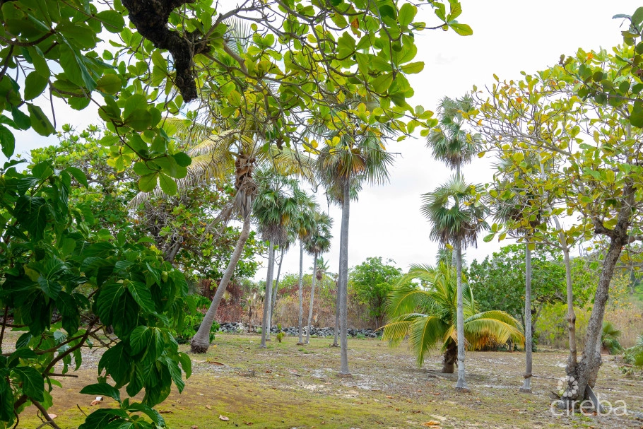 Historic Home - 3 Acres Ocean Front