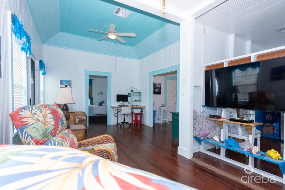 Historic Home - 3 Acres Ocean Front