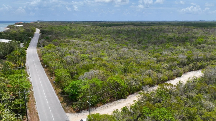 Nature Walk Lot 7