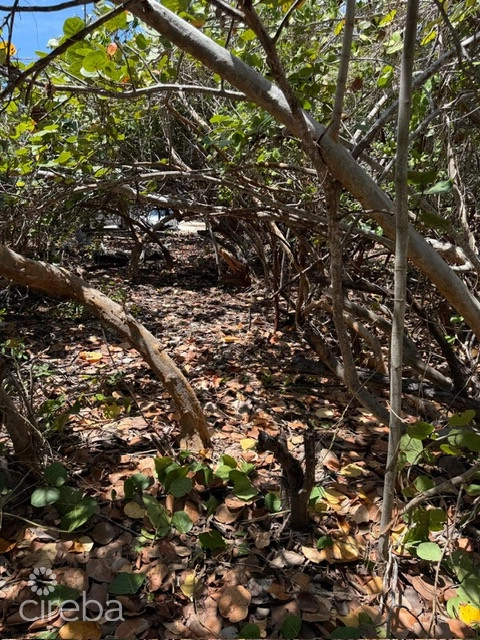 Pre-constructed Seaglass Villa Oceanfront Land