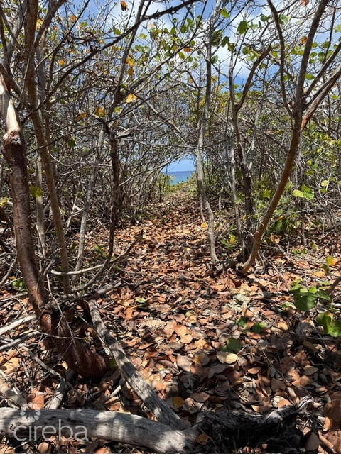 Pre-constructed Seaglass Villa Oceanfront Land