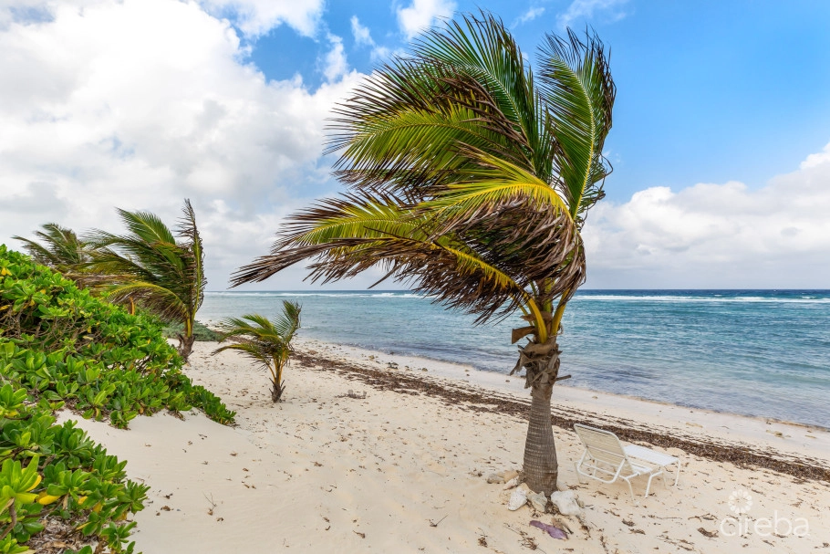 North Pointe Beachfront Condo