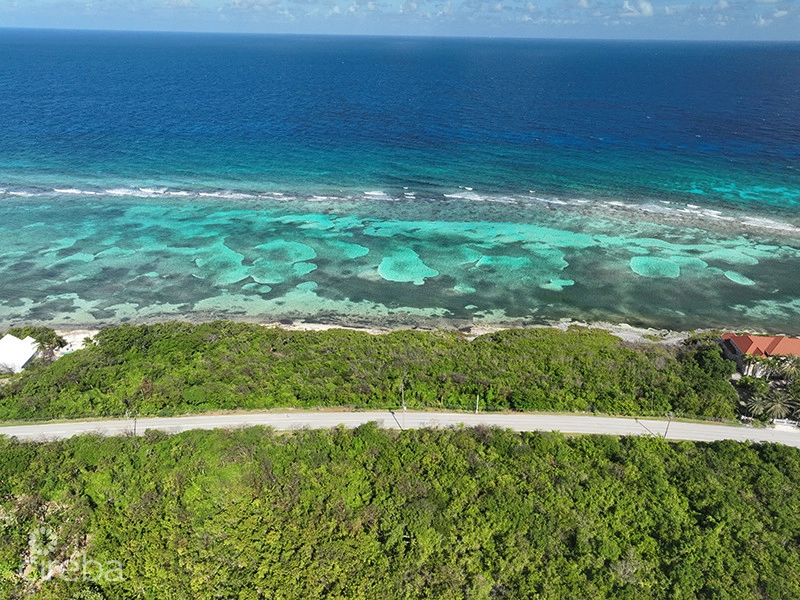 North East Coast Ocean Front Land