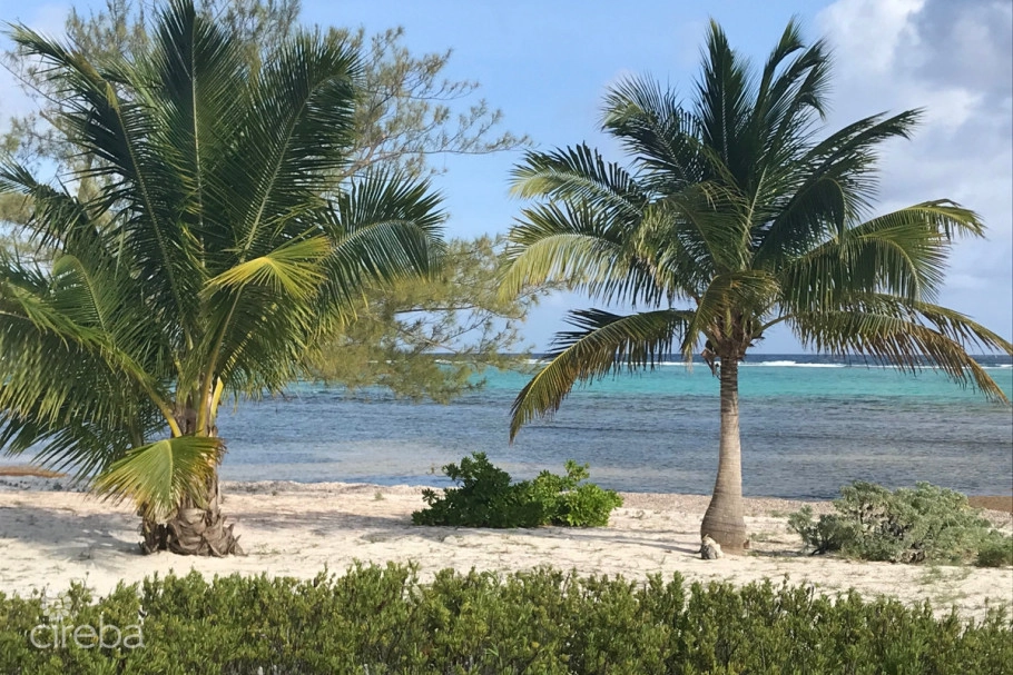 Prime Beachfront Land