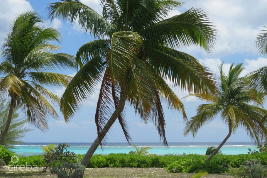 Prime Beachfront Land