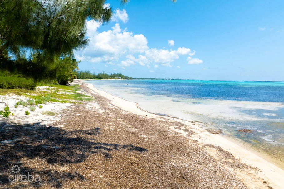 Prime Beachfront Land