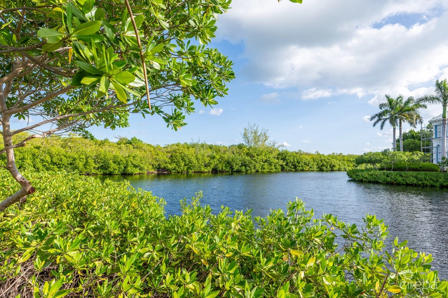 The Orchard At Salt Creek | 32 Creekside Court | A Salt Creek Estate