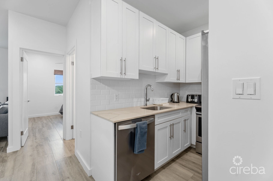 19 North 3 Bed Corner Unit With Lake View
