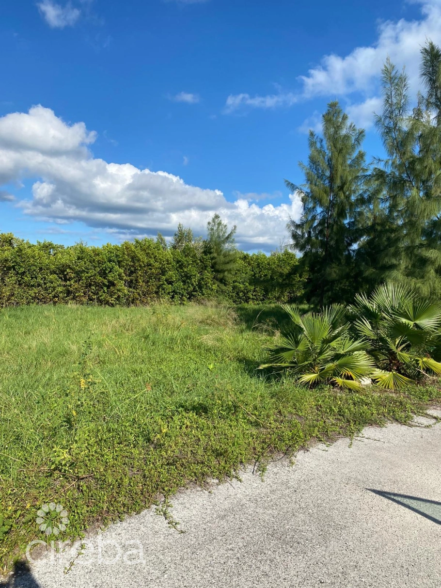 Pease Bay Lakes Lakefront Lot