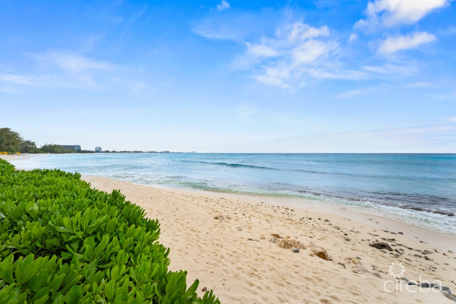 Discovery Point  Penthouse  Beachfront -  Proven Income Generator
