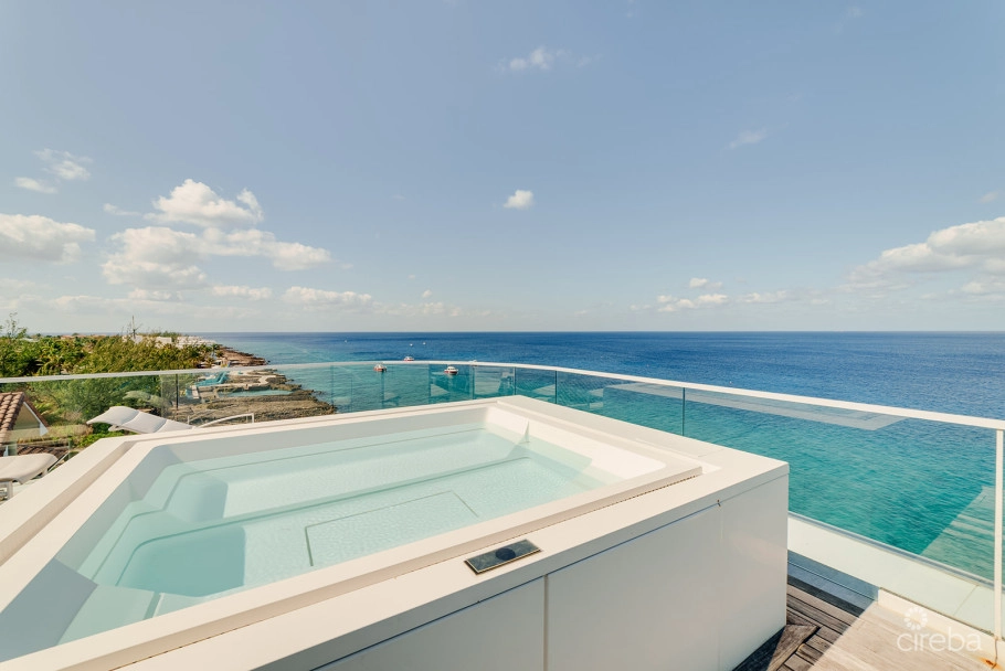Fin Penthouse 29