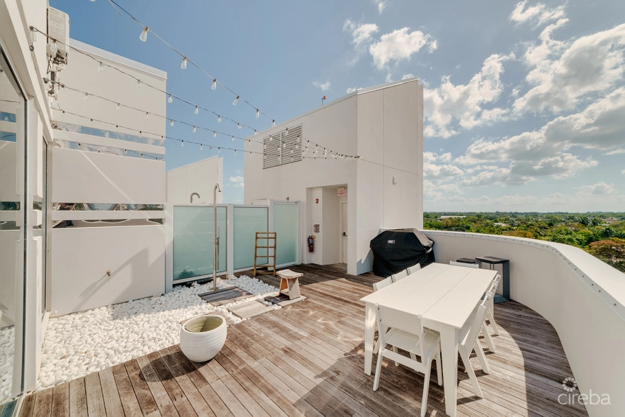 Fin Penthouse 29