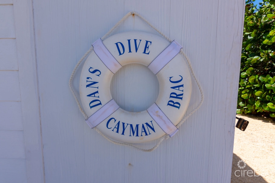Dan's Dive