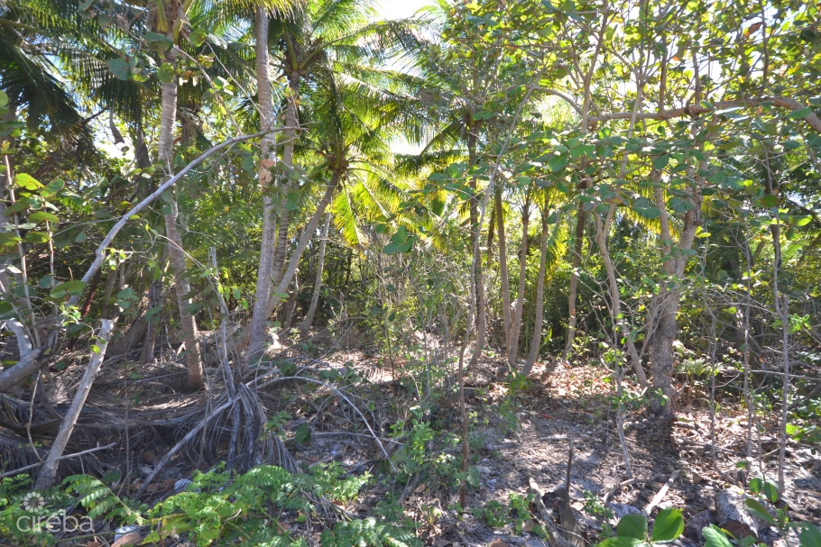 North Side Oceanview  Land