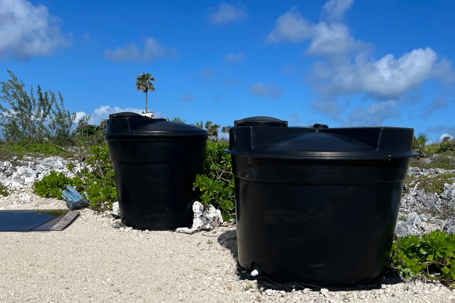 Cayman Sea Salt & Cayman Cookie Company (business)