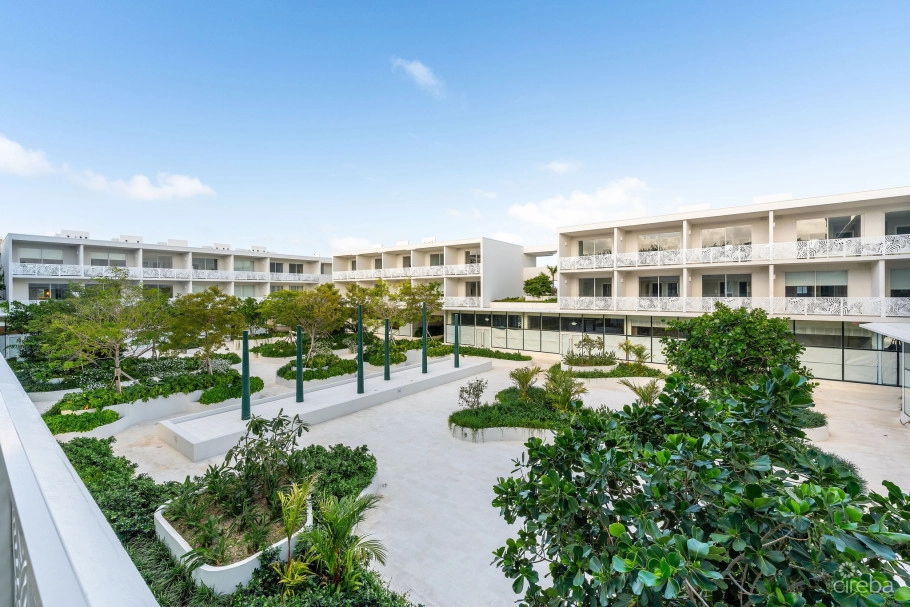 Solace At The Grove Too | Seven Mile Corridor