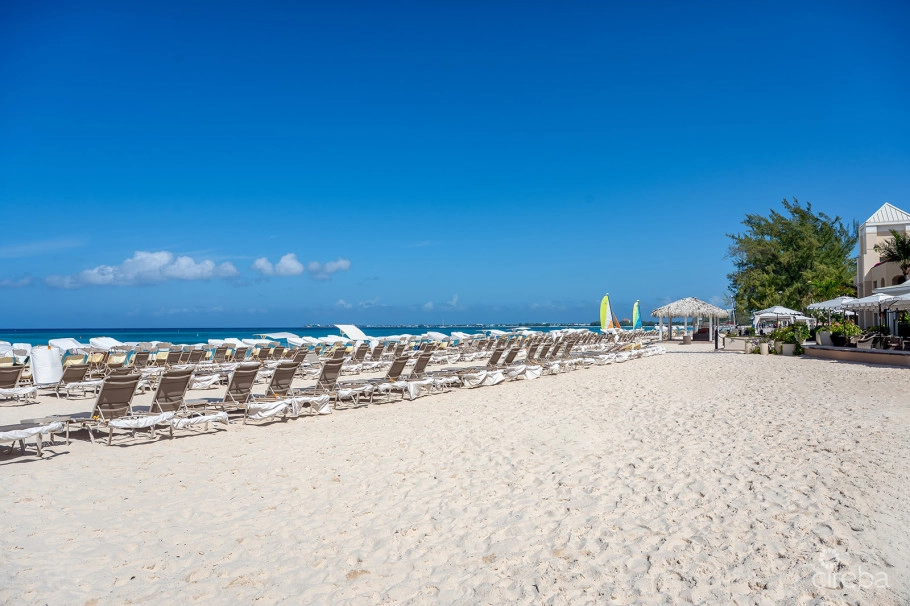 Ritz Carlton Residence 408