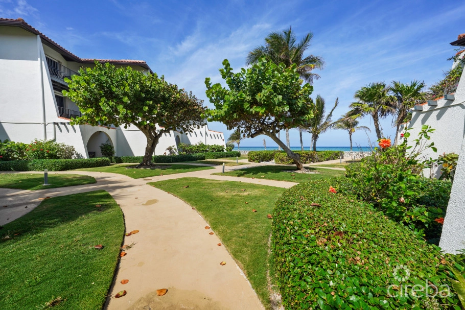 Villas Pappagallos Oceanview!