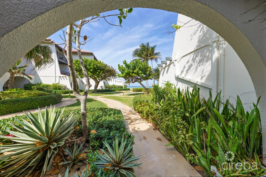 Villas Pappagallos Oceanview!