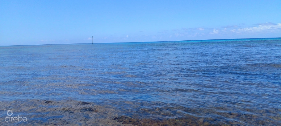 Vida Vistas