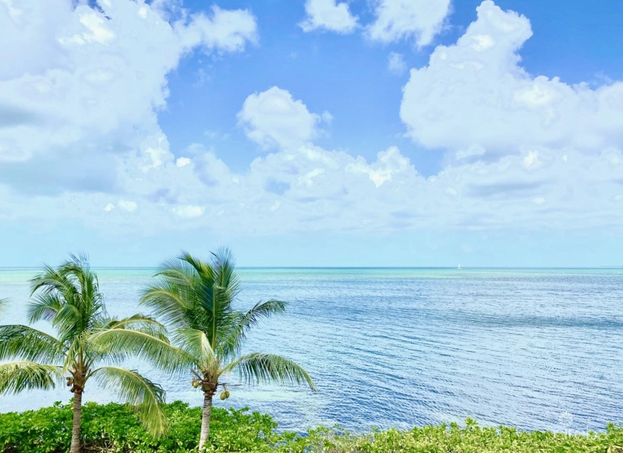 Harbour Point Oceanfront 3 Bed Plus Office