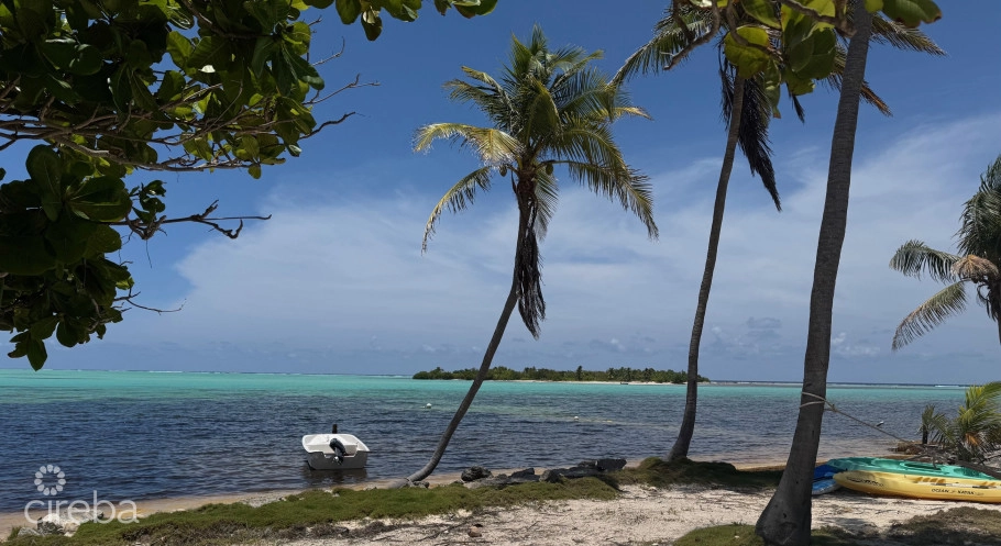 Owen Island View