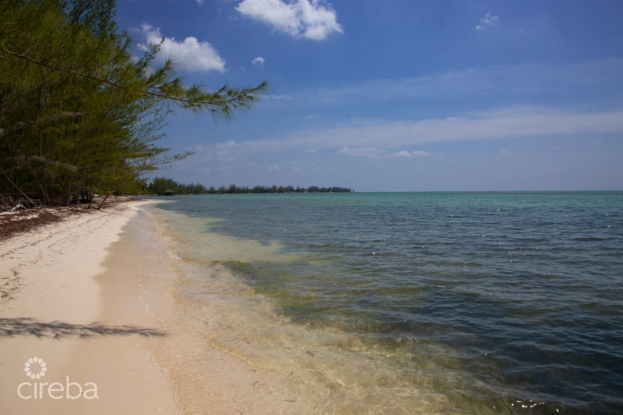 Starfish | Beachfront Land, Frank Sound