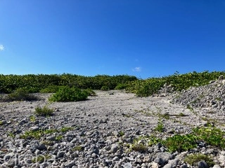 Cayman Brac Northside Beach Front Land
