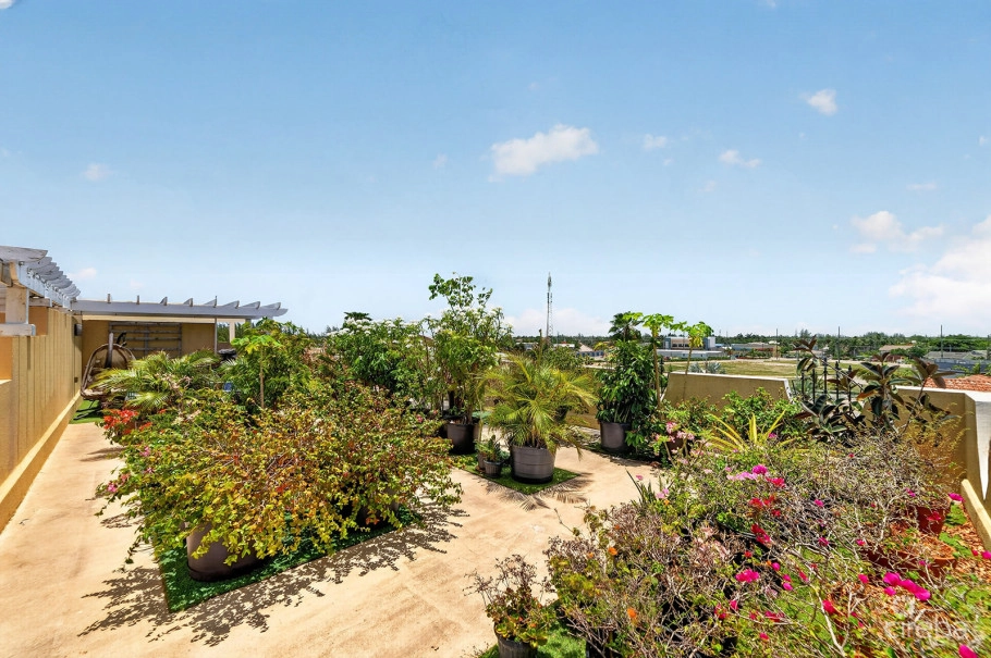 Lantern Point 3 Bedroom Condo W/ocean View Rooftop Terrace