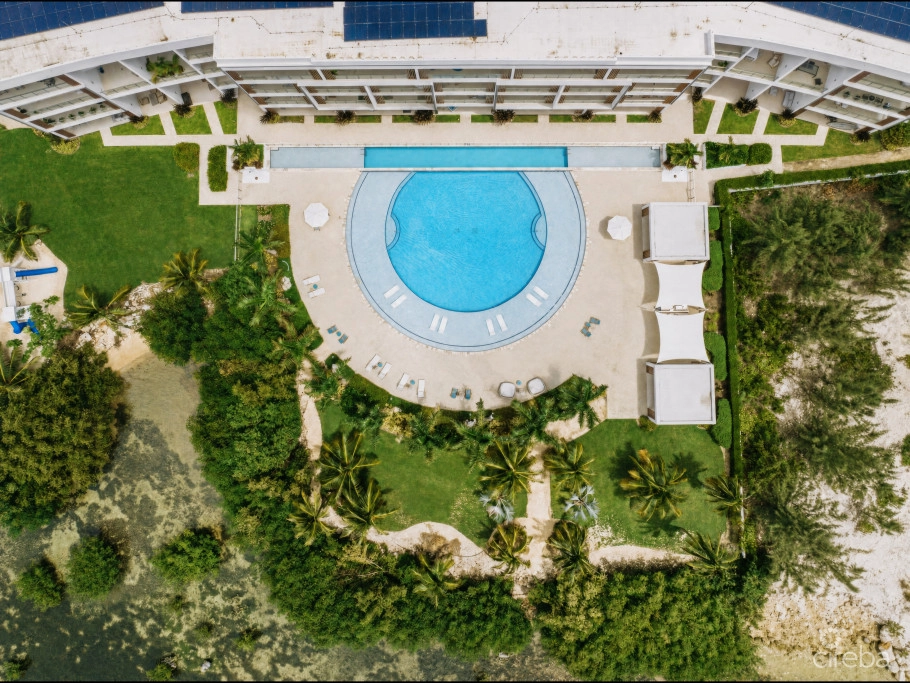 Aura #305 Oceanfront