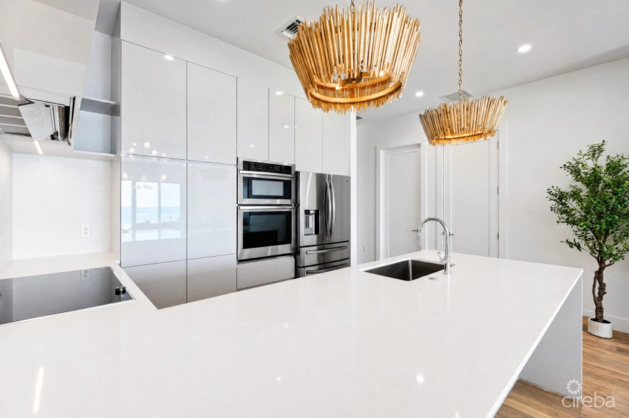 Aura Penthouse #404