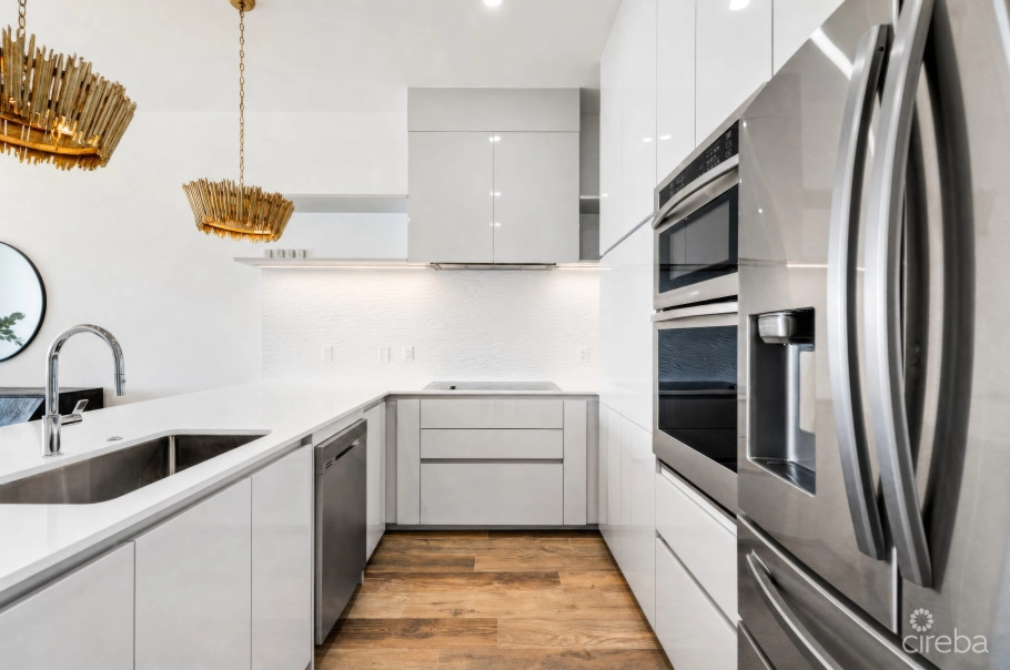 Aura Penthouse #404
