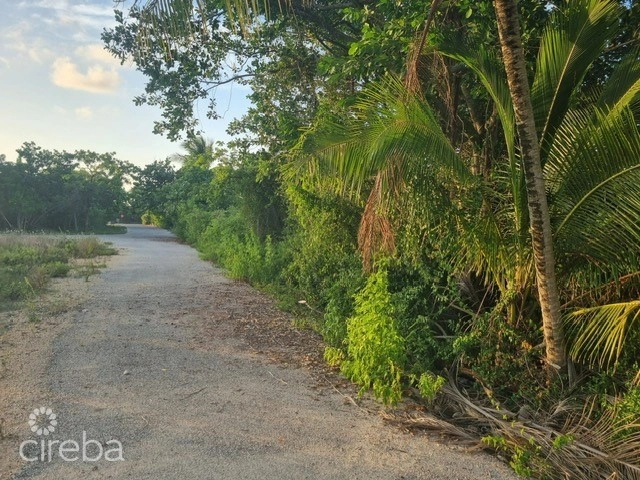 Brac House Lot On Harold Drive