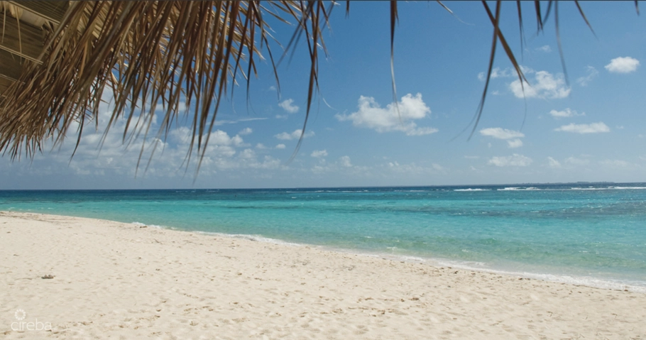 Little Cayman Lot Close To Point Of Sand