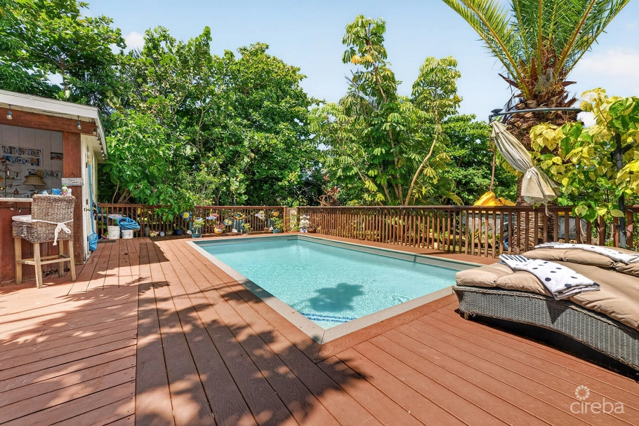 Savannah Newlands Family Home With Pool, Outside Bar & Income-generating Guest Suite