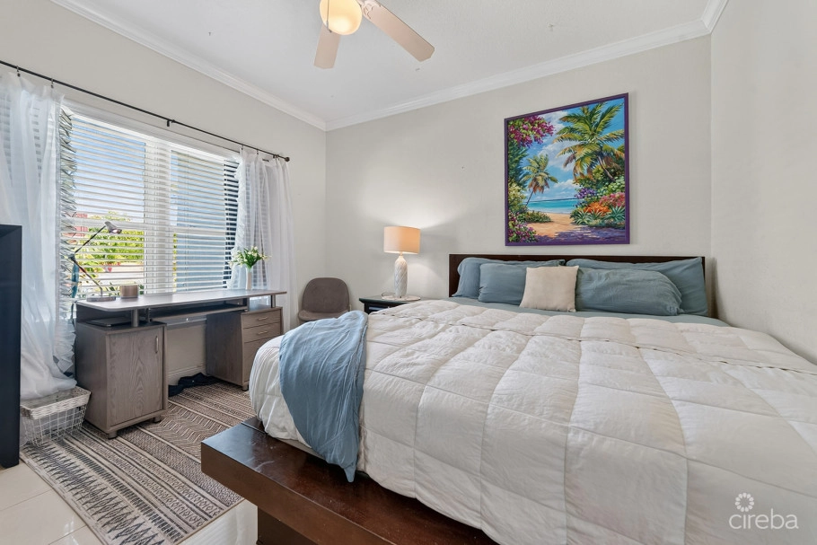 Savannah Newlands Family Home With Pool, Outside Bar & Income-generating Guest Suite