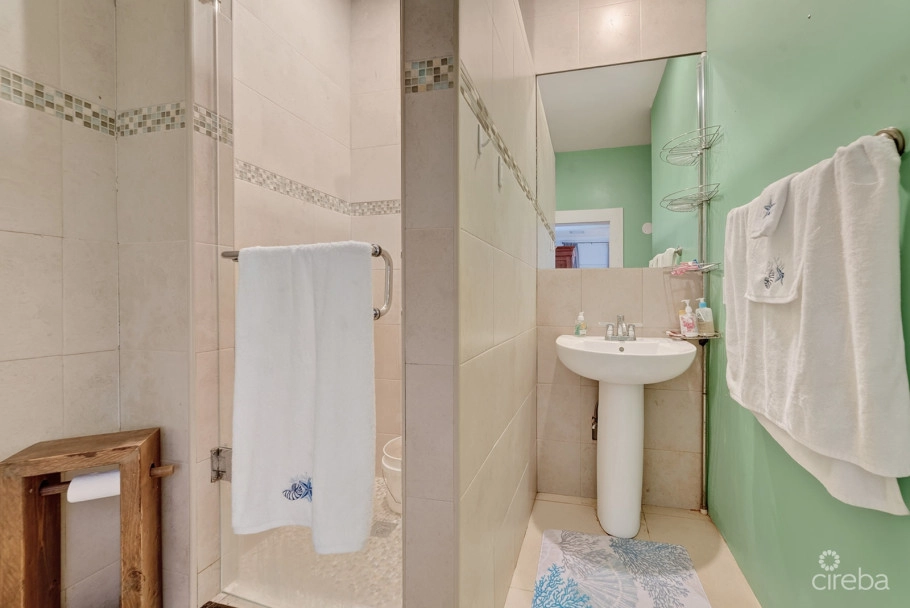 Savannah Newlands Family Home With Pool, Outside Bar & Income-generating Guest Suite